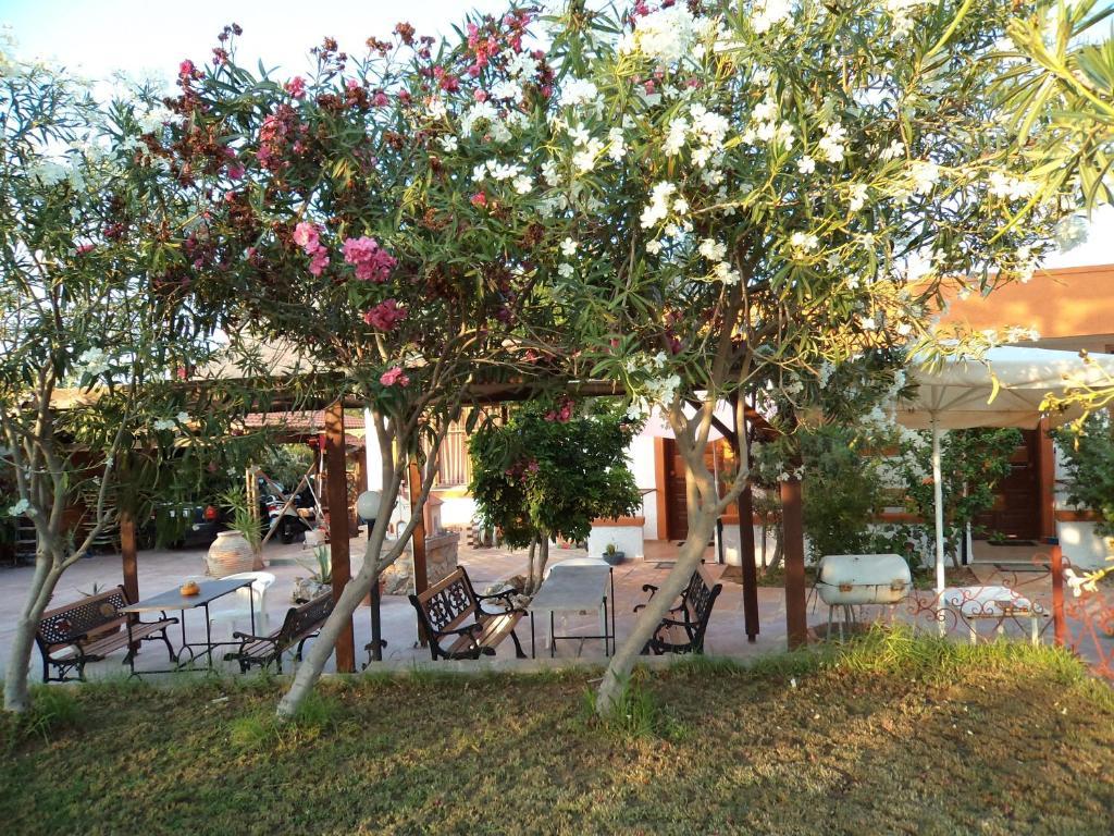 Daydream Hill Otel Stavrós Dış mekan fotoğraf